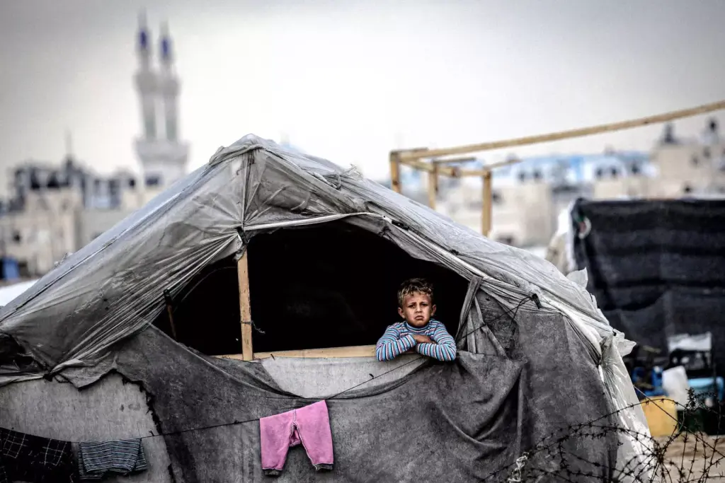 الصفدي: غزة قصة بؤس تتكشف أمام أعيننا وتستمر في التدهور