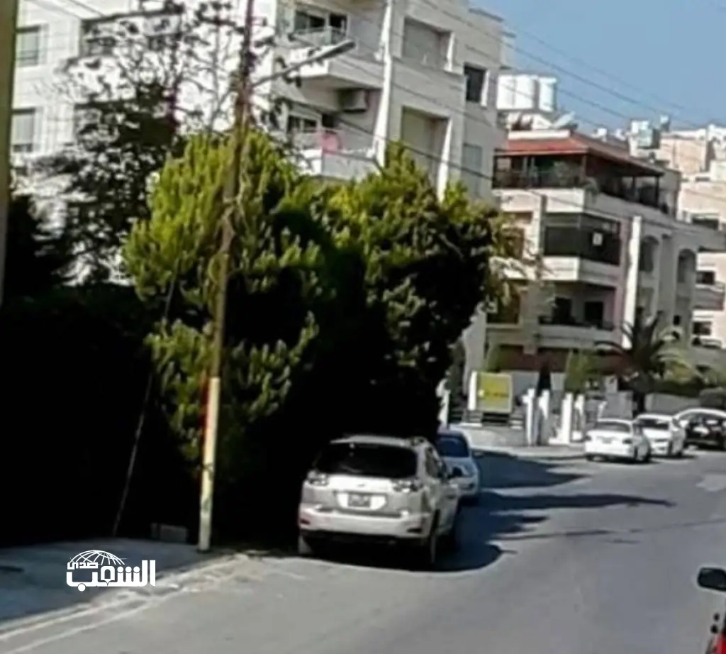 أمانة عمان تبدأ بإزالة "عوائق الأشجار" على الأرصفة و تحدد شروط زراعتها أمام المنازل