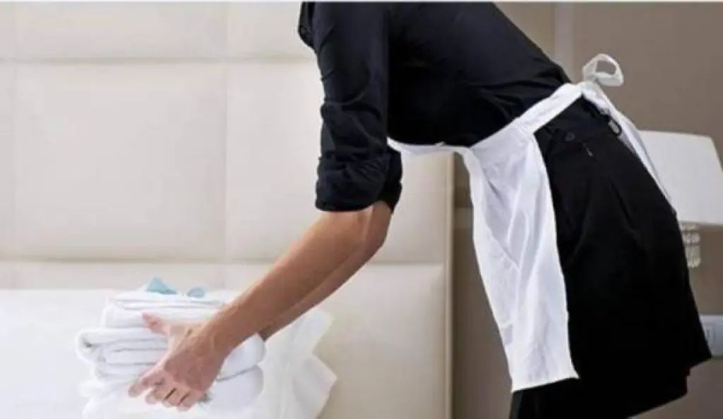 لجنتا تفتيش لضبط العاملات الهاربات من المنازل