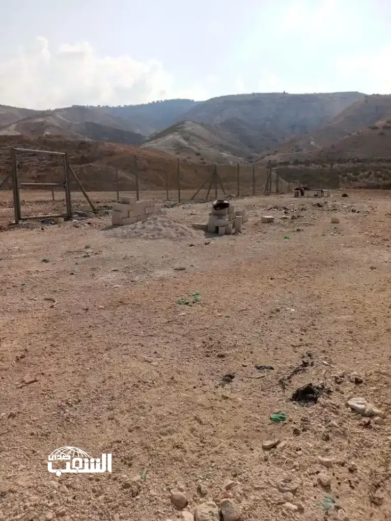 تجهيز مأوى للكلاب الضالة في بلدية معاذ بن جبل