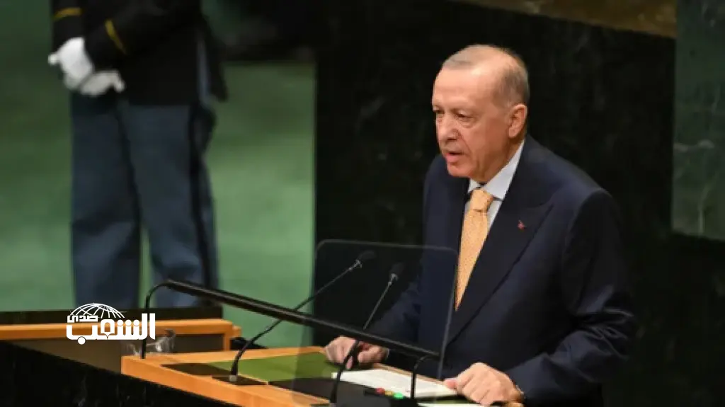 أردوغان: ينبغي إصلاح مجلس الأمن والاعتراف بدولة فلسطينية