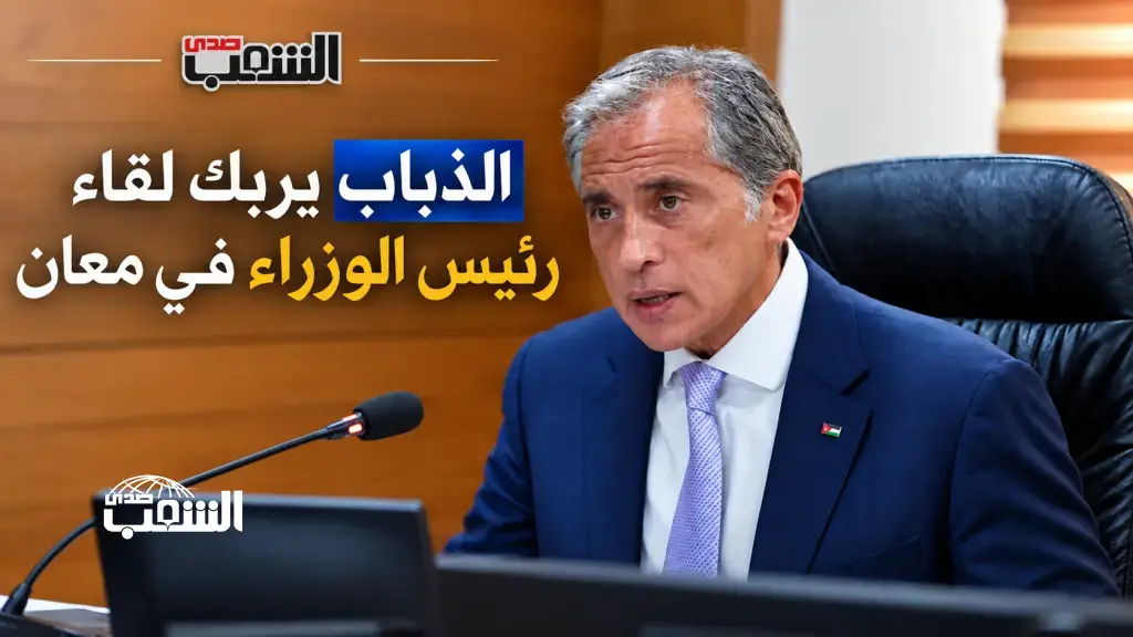 "الذُباب" يُربك لقاء رئيس الوزراء في "معان"